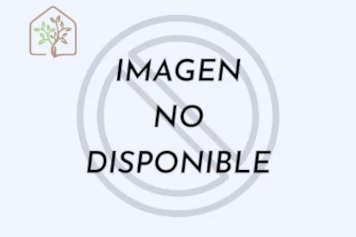 Imagen no disponible